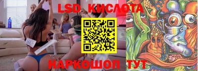 стаф Кулебаки