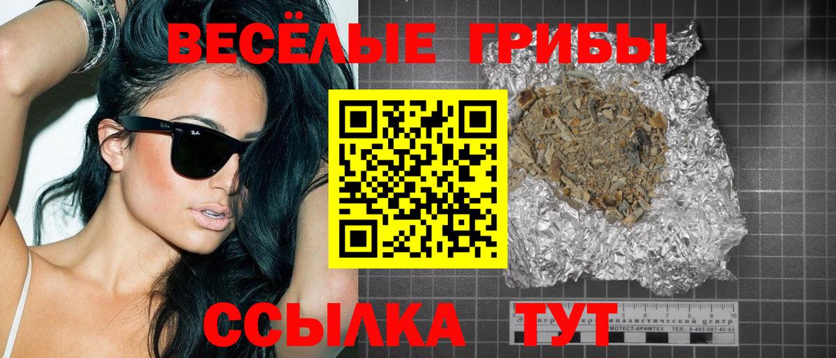 Галлюциногенные грибы Psilocybine cubensis Златоуст